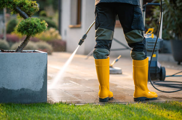 Best Exterior Home Cleaning  in Yelm, WA